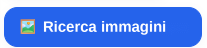 Ricerca di immagini